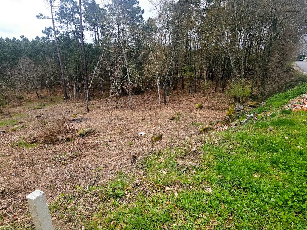 Terreno Construível em Viseu com Vista Panorâmica e Acesso Fácil - Image 3
